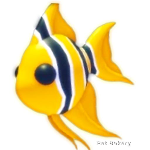 Angelfish Adopt Me pet