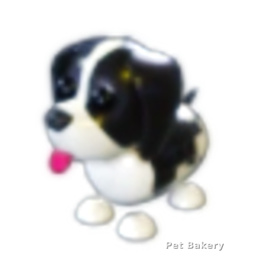 Black Springer Spaniel Adopt Me pet
