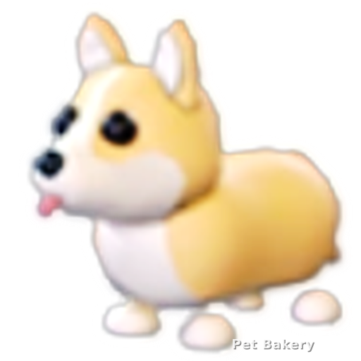 Corgi Adopt Me pet