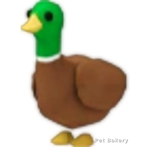 Drake Adopt Me pet