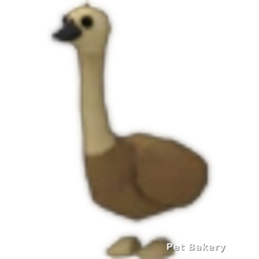 Emu Adopt Me pet