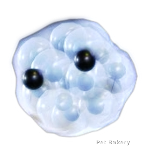 Frogspawn Adopt Me pet
