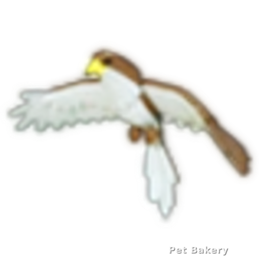 Hawk Adopt Me pet