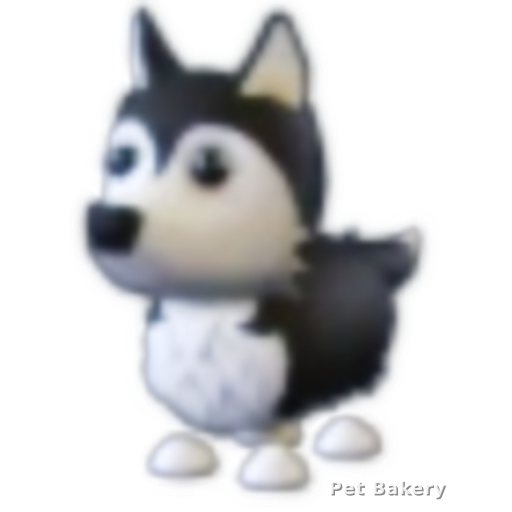 Husky Adopt Me pet