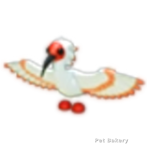 Ibis Adopt Me pet