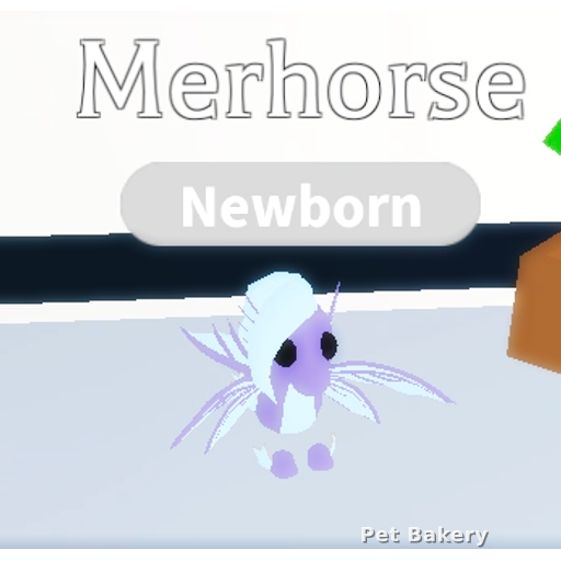 Merhorse Adopt Me pet