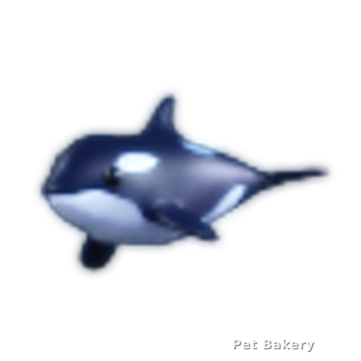 Orca Adopt Me pet