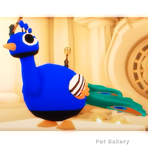 Peacock Adopt Me pet
