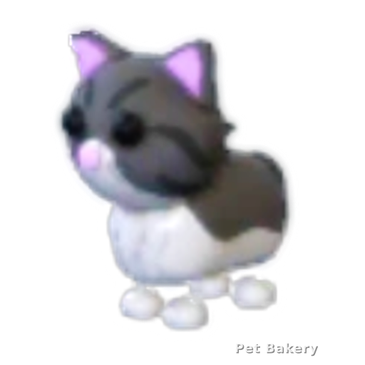 Persian Cat Adopt Me pet
