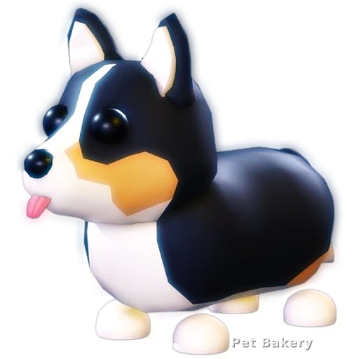 Royal Corgi Adopt Me pet