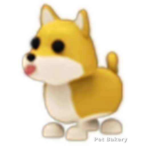 Shiba Inu Adopt Me pet