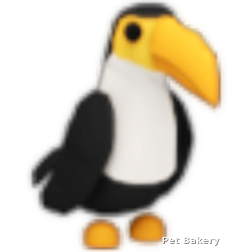 Toucan Adopt Me pet