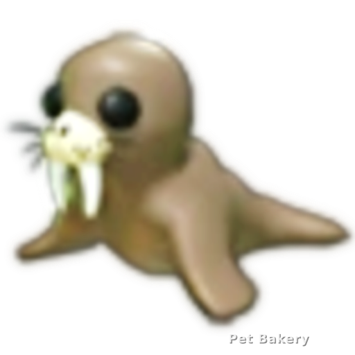Walrus Adopt Me pet