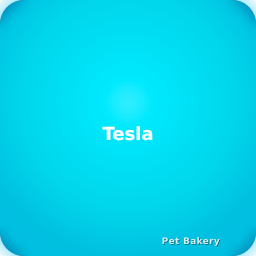 Tesla Model S Normal Adopt Me pet